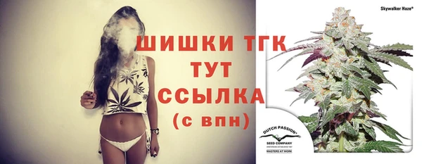 шишки Алексеевка
