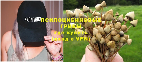 шишки Алексеевка