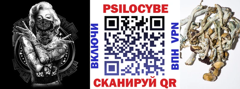 Псилоцибиновые грибы мицелий сколько стоит Анива